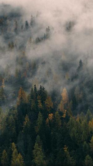 黑料不打烊最新2023地址截图1