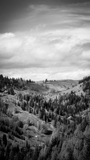 51吃瓜最新吃瓜入口截图1