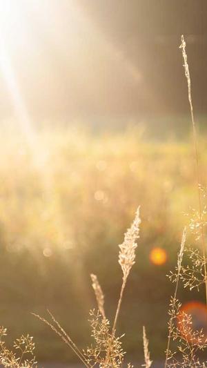 黑料社区资源号码截图3