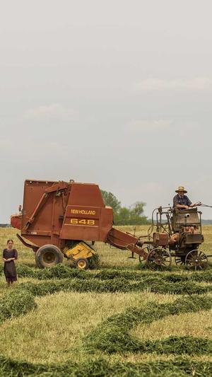 抱抱念酱黑料截图1