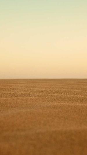 宝宝可以吃哈密瓜吗截图2