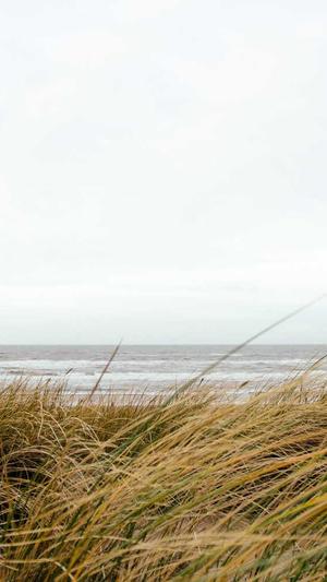 怀孕初期可以吃哈密瓜吗截图3