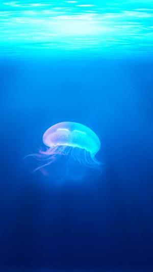 tttzzz.su黑料入口截图4