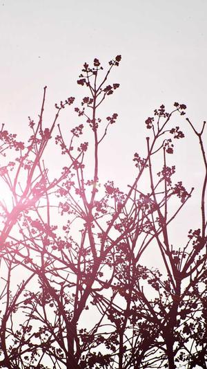 最新吃瓜爆料截图3