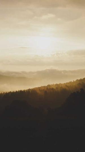 黑料不打烊换什么网址截图3