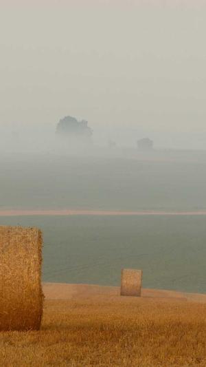 zztt11黑料不打烊在线截图3