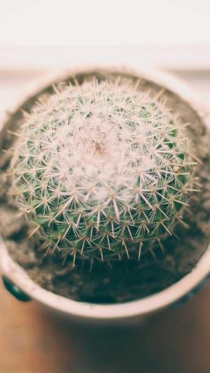 51吃瓜.world张津瑜截图5