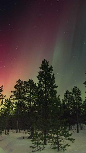 吊瓜不能和什么一起吃截图4