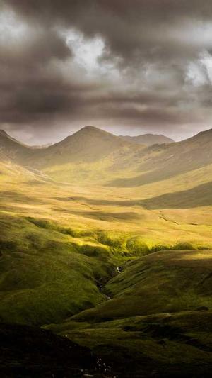 七零养娃吃瓜日常截图2