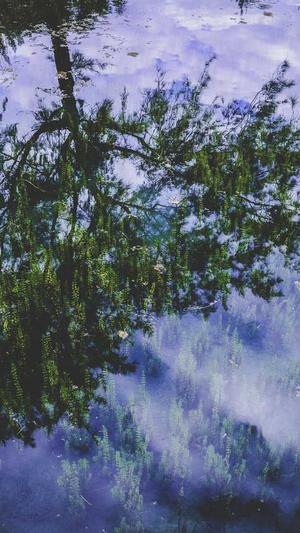 今日吃瓜51大瓜截图1