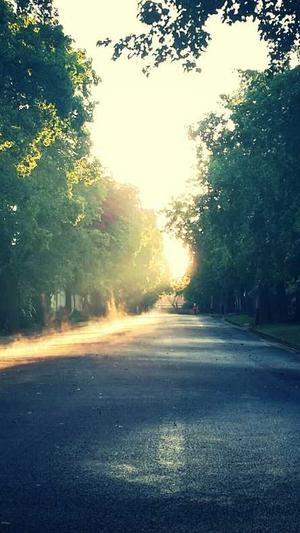 黑料网 - 今日黑料截图1