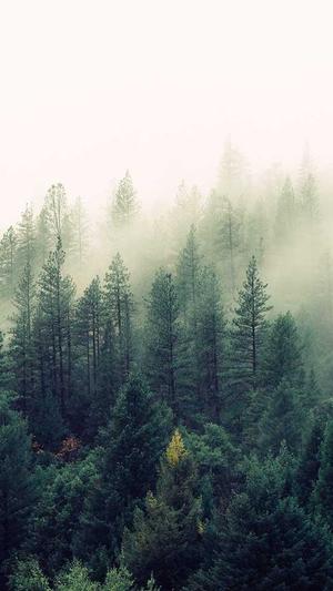 黑料正能量不打烊截图1