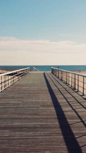 黑料不打烊 传送门截图2