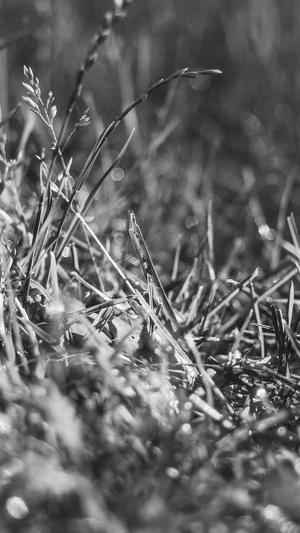 黑料不打烊最新截图3