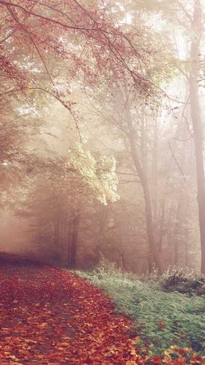 qq吃瓜资源群截图1