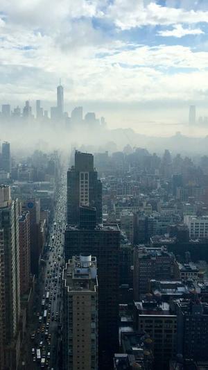 吃哈密瓜可以减肥吗截图5