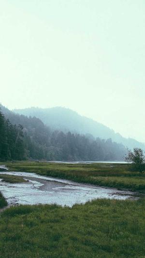 黑料不打烊最新2023地址截图5