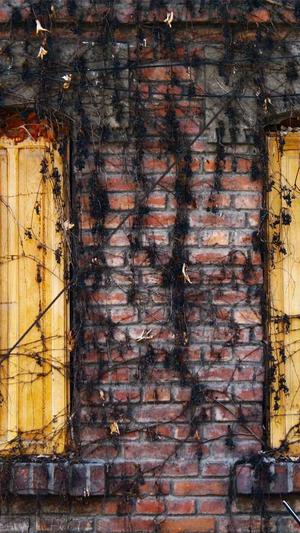 黑料吃瓜网入口截图2