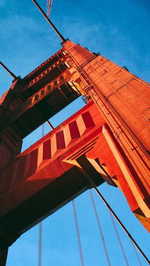 林心如黑料截图1