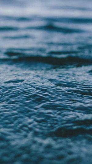 刘耀文黑料截图3