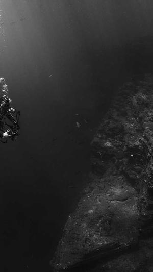 冬天可以吃哈密瓜吗截图3