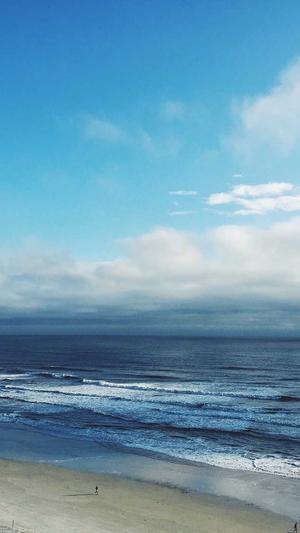 吃哈密瓜可以减肥吗截图3