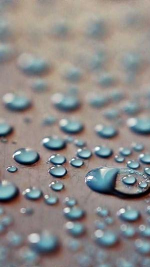 51吃瓜网站截图1