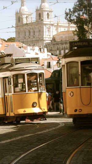 福寿瓜怎么吃截图2