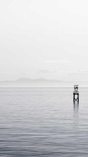 黑料不打烊吧截图2