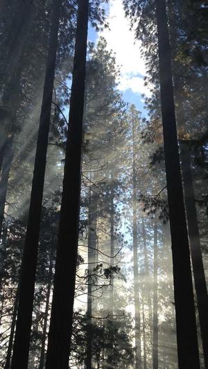 孕妇敢吃哈密瓜不截图5