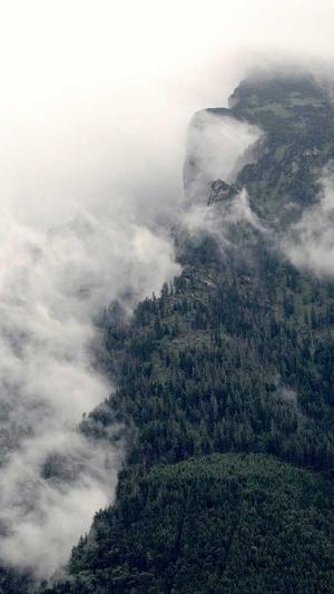 七零养娃吃瓜日常截图3